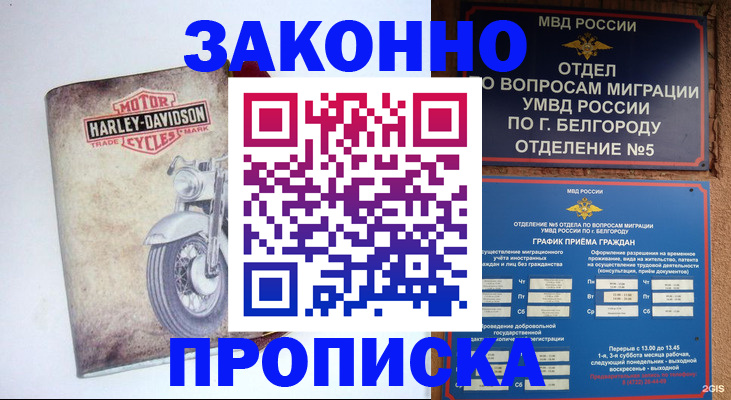 прописка для школы в Лесном